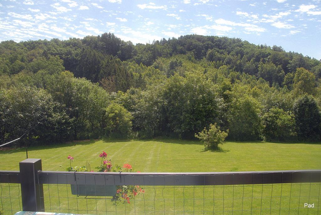 Villa La Clé des Champs à Bertogne Extérieur photo